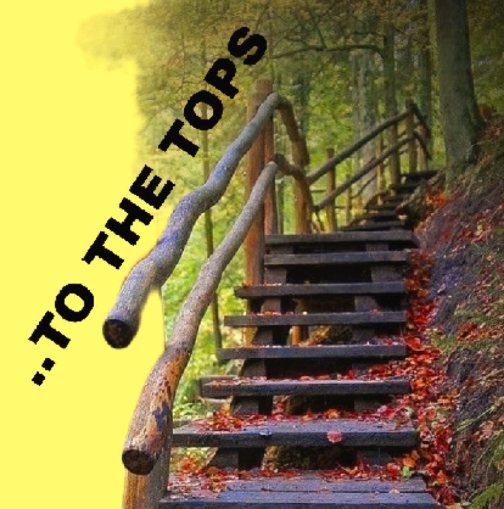 ...TO THE TOPS